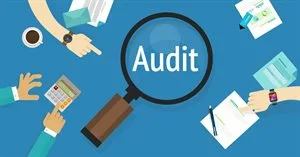 website audit service