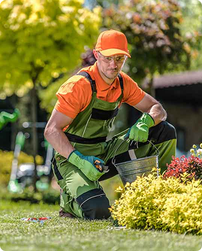 Lead Generation For Landscaping