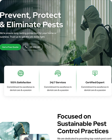 Web Design For Pest Control