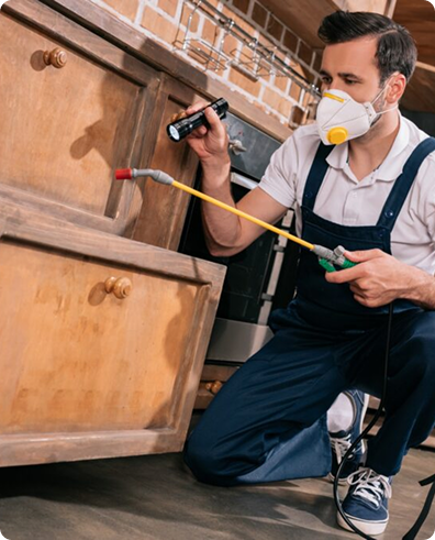 Social Media For Pest Control